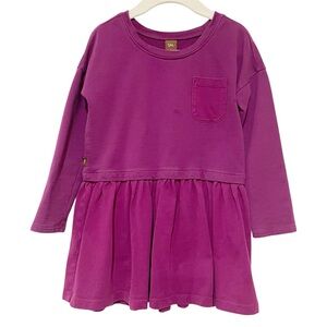 Tea Collection Purple Girl Long Sleeve Dress 4 - Play Spring Colorful Pocket